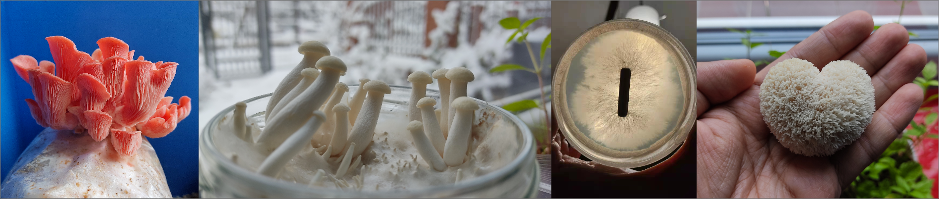 CleanShot 2021-12-30 at 10.09.55@2x.png